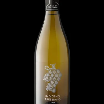 Indigeno Trebbiano TV IGT 2024